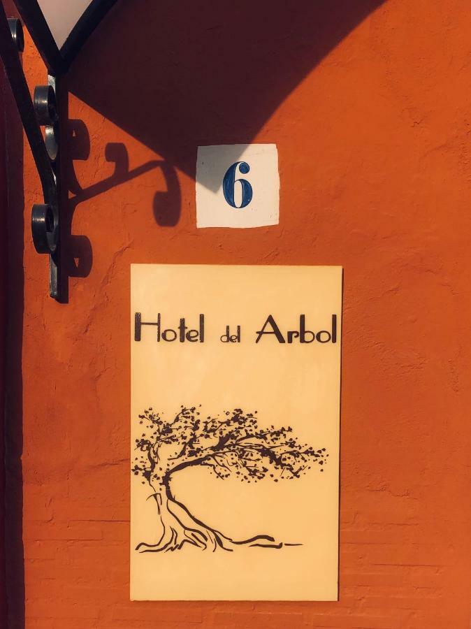 Hotel Del Arbol Xàtiva Exterior foto